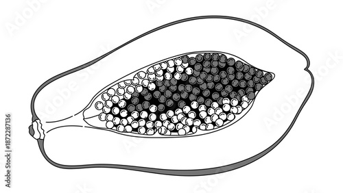 Black and white line art illustration of a halved papaya fruit.