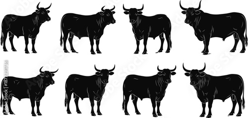 Bull cattle silhouettes collection, black horned farm animals, strong livestock poses, rural agriculture mammal illustration vector icons set