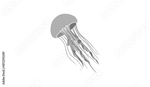 Jellyfish swimming illustration in grayscale.