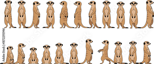 Slika na platnu Meerkat character animation set with multiple standing sitting side view poses c