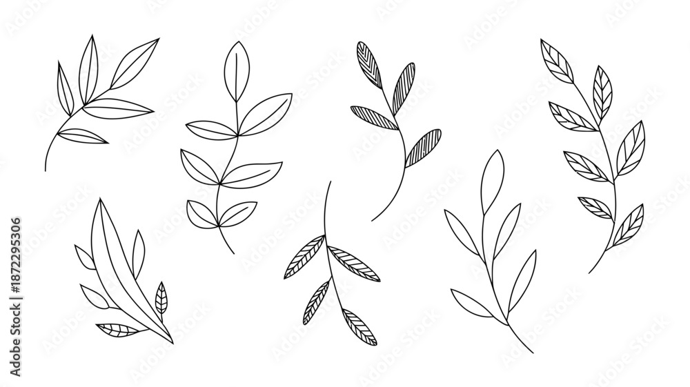 Fototapeta premium Hand drawn black and white simple botanical leaf branches for natural design elements