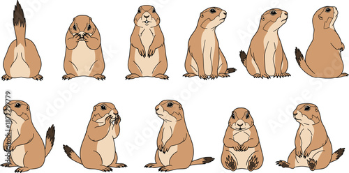 Schilderij op canvas Prairie dog character animation set with multiple standing sitting side view pos