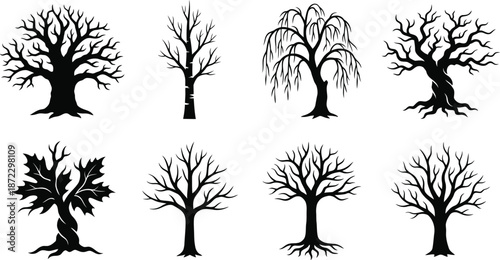 Bare Tree Silhouette Vector Set on White Background