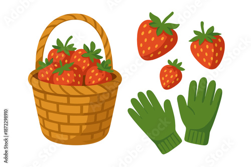 Basket of strawberries with gloves ready for picking at a garden in summer