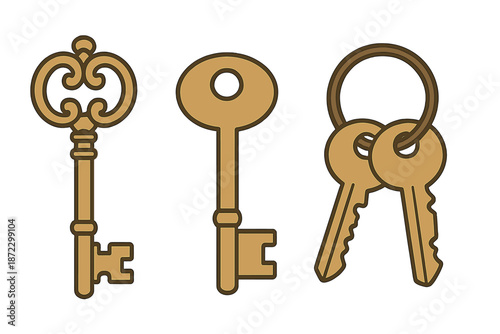 Different types of keys for various purposes shown together on a simple background
