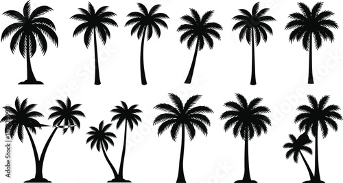 Flat vector illustration of various palm tree silhouettes, tropical nature icons, exotic beach trees, summer vacation, island landscape elements, tropical greenery decor