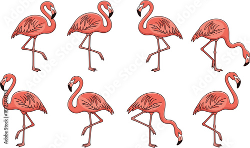 Collection of eight cartoon pink flamingos in various poses on a white background bird birds