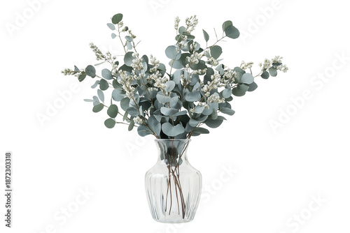 Australian Native Eucalyptus Bouquet in Clear Glass Vase Isolated on Transparent Background Elegant Floral Decor