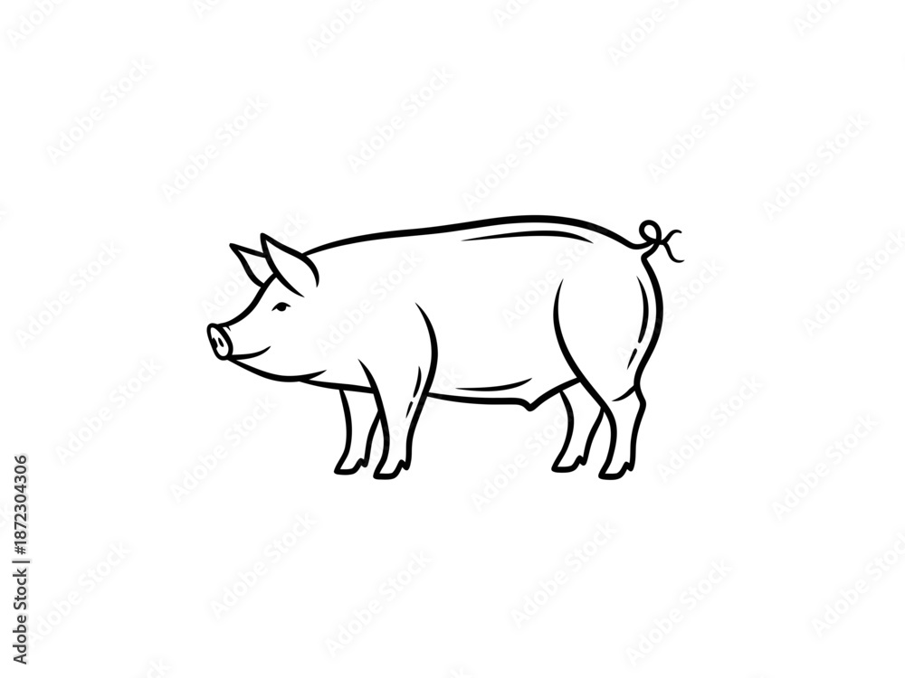 Fototapeta premium Simple line drawing of a pig