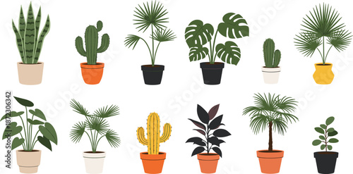 Indoor houseplant collection with potted tropical plants cactus and palm isolated on white background modern vector illustration