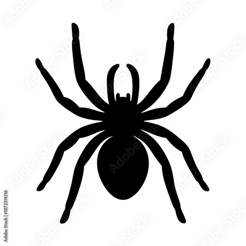 A silhouette of a black spider with eight legs in detail