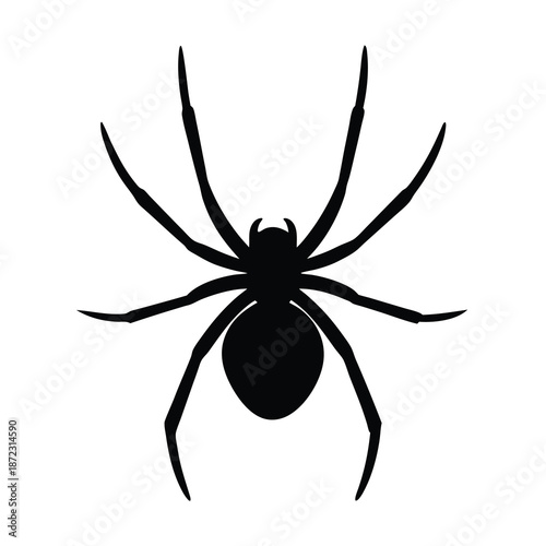 Black widow spider silhouette isolated on white background for Halloween graphic