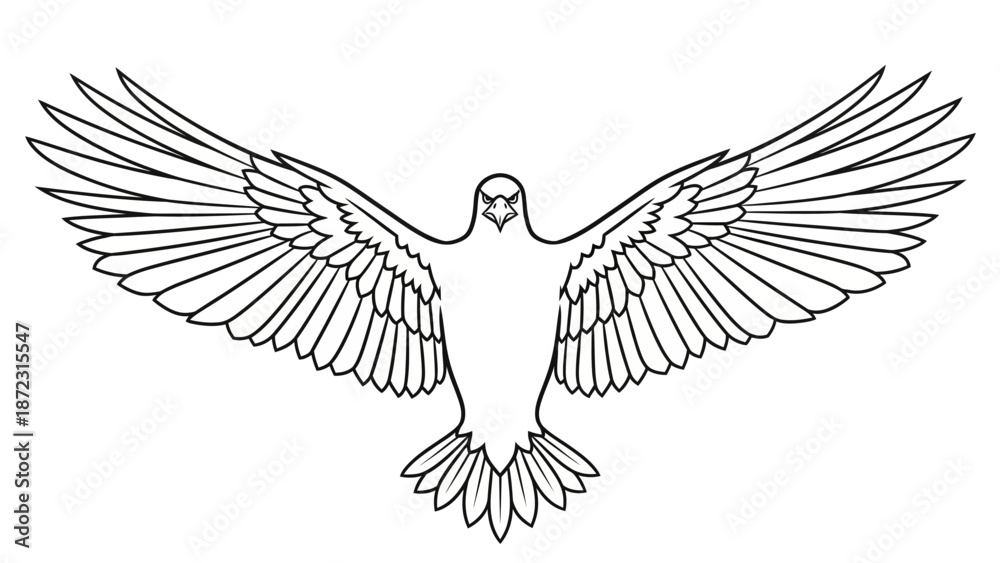 Obraz premium Line art illustration of a bald eagle in flight with wings spread, isolated white background.