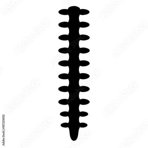 Abstract black spine like element with spherical parts on a white background