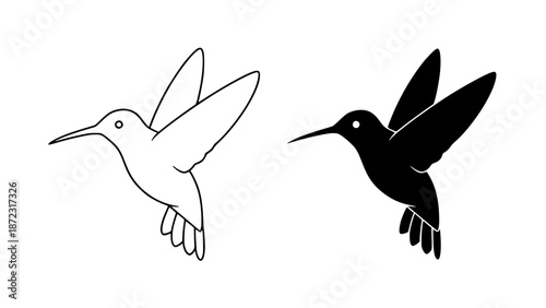 Two detailed hummingbird illustrations in outline and silhouette flying left on white background with icon with graphic