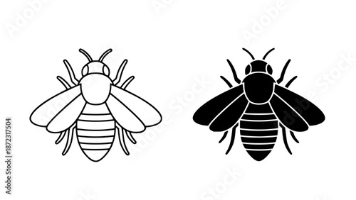 Detailed illustration of a bee in black and white with outline and silhouette on clean background with insect with icon
