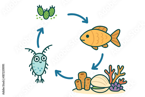 Life cycle and food web of marine ecosystems showing organisms and their relationships in simple graphics