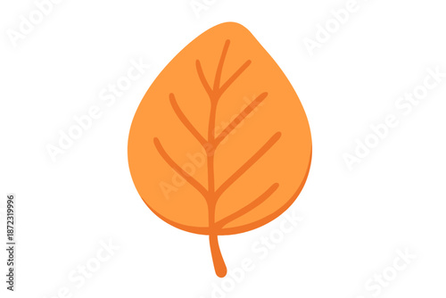 Falling leaf in autumn color on a white background showing the details of the leaf structure clearly and simply without distractions