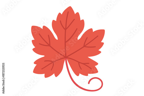 Bright red leaf on white background with simple shape and curves shows the essence of autumn colors and nature's design