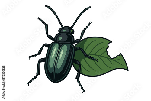 Insect with green leaf showing bite marks found in nature during daylight hours