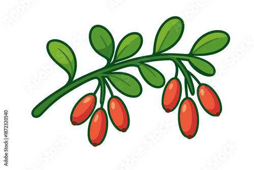 Red berries with green leaves on a branch in a simple design and bright colors