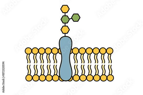 Molecular structure showing a protein embedded in a cell membrane with hexagonal and circular components