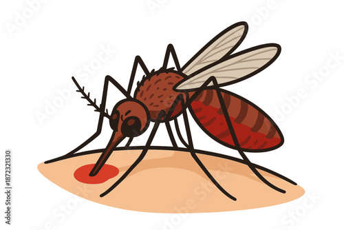 Mosquito sitting on skin and feeding during daytime in a warm environment
