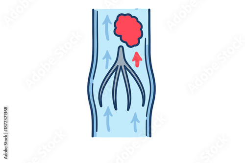 Diagram shows blood flow in a blood vessel with a depiction of cells moving upwards during circulation