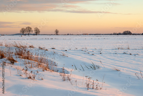 Snow covered field. Winter landscape in northern Poland. Europe