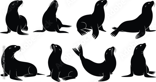 Eight black sea lion silhouettes in varied poses and orientations, ideal for marine design, wildlife graphics, and educational animal illustrations