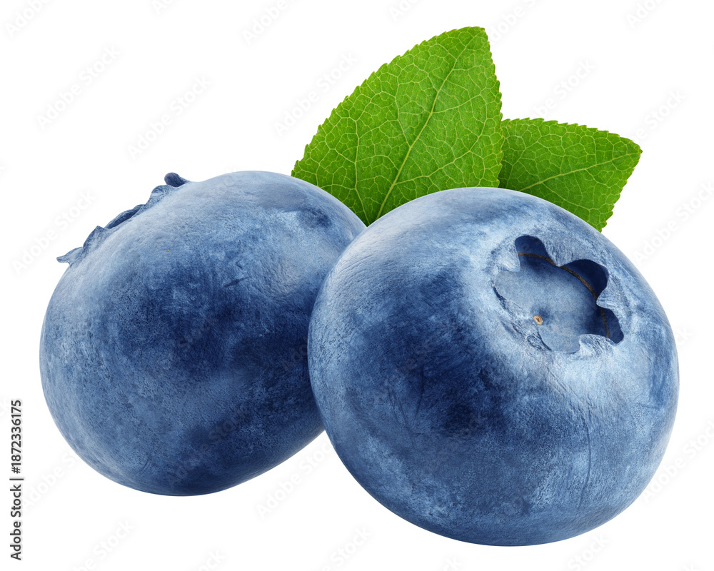 Fototapeta premium Blueberry isolated, full depth of field