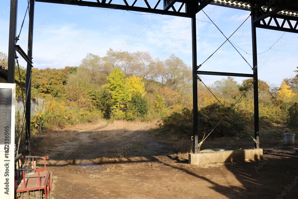 Fototapeta premium 那須ワールドモンキーパーク、那須、栃木県