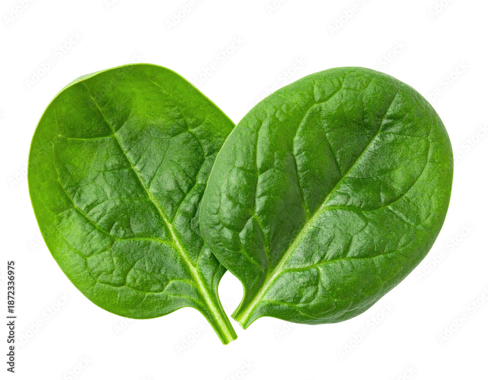 Fototapeta premium Two vibrant, heart-shaped spinach leaves, isolated against a solid black background