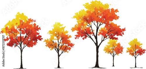Vibrant autumn trees standing in a serene landscape viewed from a slight elevation