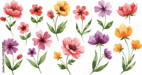 Vibrant flowers in full bloom, showcasing a variety of colorful petals and lush greenery in a serene setting.