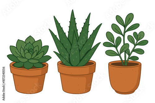 Three potted plants stand side by side with simple brown pots in a flat design style