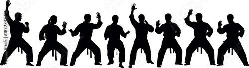 Martial Arts Silhouette Set Vector Illustrating Various Karate Poses Kata Movements and Defense Stances for Combat Sports Design and Training