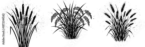 Black Silhouette Collection of Wheat, Rice, and Cattail Plants