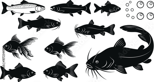 Collection of freshwater fish silhouettes, catfish, carp and goldfish vector illustration set, black aquatic animal figures isolated on white background
