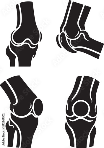 Illustrations of Human Knee Joints from Different Angles and Perspectives