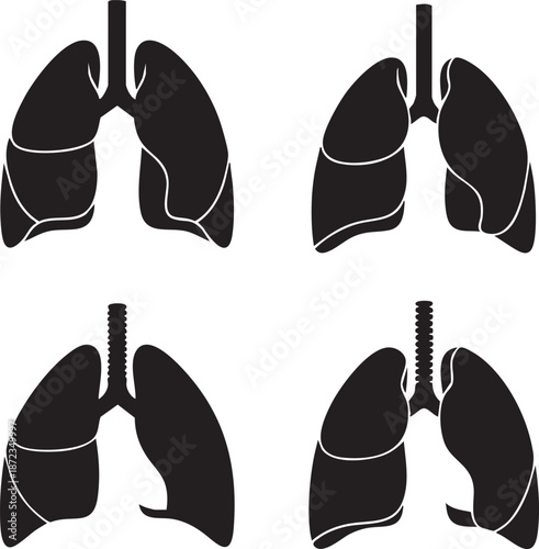 Anatomical illustrations of human lungs from different viewpoints showcasing various details
