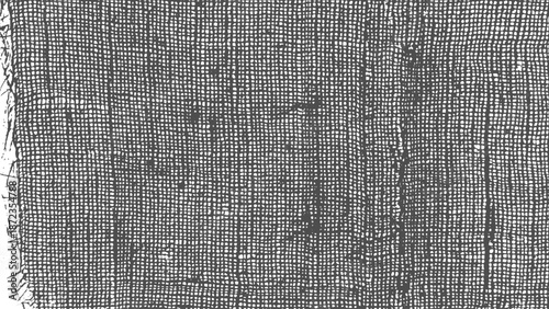 Vector abstract grunge dust grain texture on light background