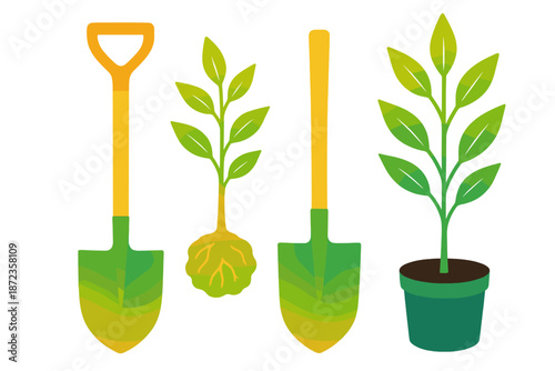 Garden tools and plants in stages of growth, showing planting process and care for greenery
