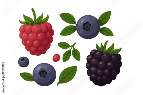 Raspberries, blueberries, and blackberries with green leaves on a white background