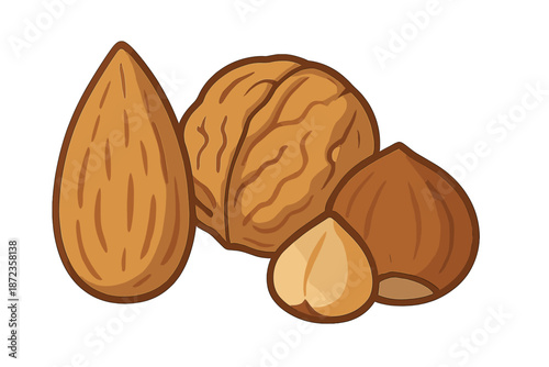 Different types of nuts placed together in an arrangement for display and observation