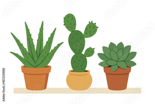 Plants on a shelf with simple pots in a bright setting during daytime