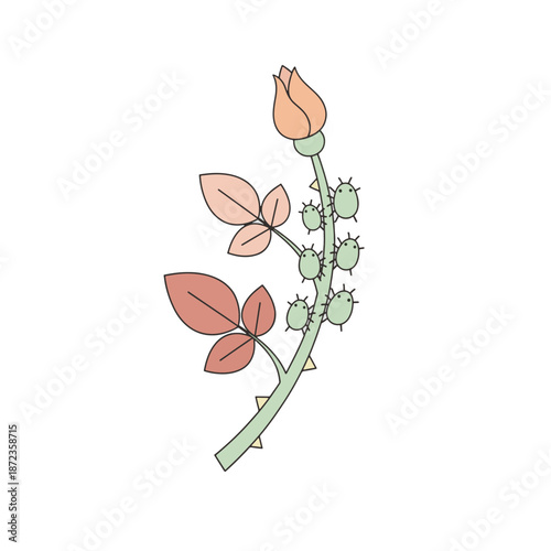 Vertical illustration of green aphids on a rose bud stem. Flat design vector graphic with soft pastel colors. Plant pest infestation and gardening concept isolated on transparent background