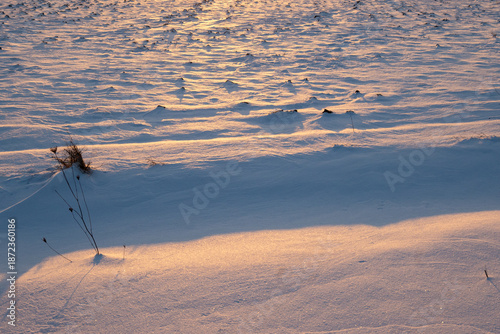 Snow in the field illuminated by the rays of the setting sun