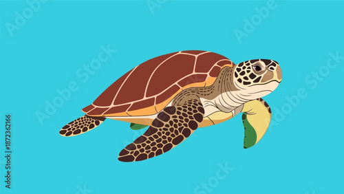 Sea Turtle Swimming with Seaweed.