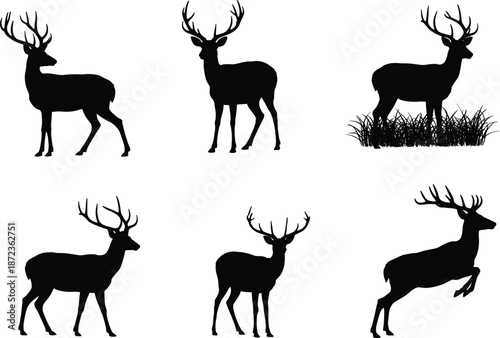 Deer silhouette set featuring stag poses standing walking grazing and jumping isolated on white background wildlife animal vector illustration